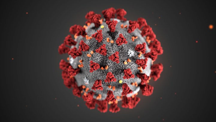 EMERGENZA CORONAVIRUS